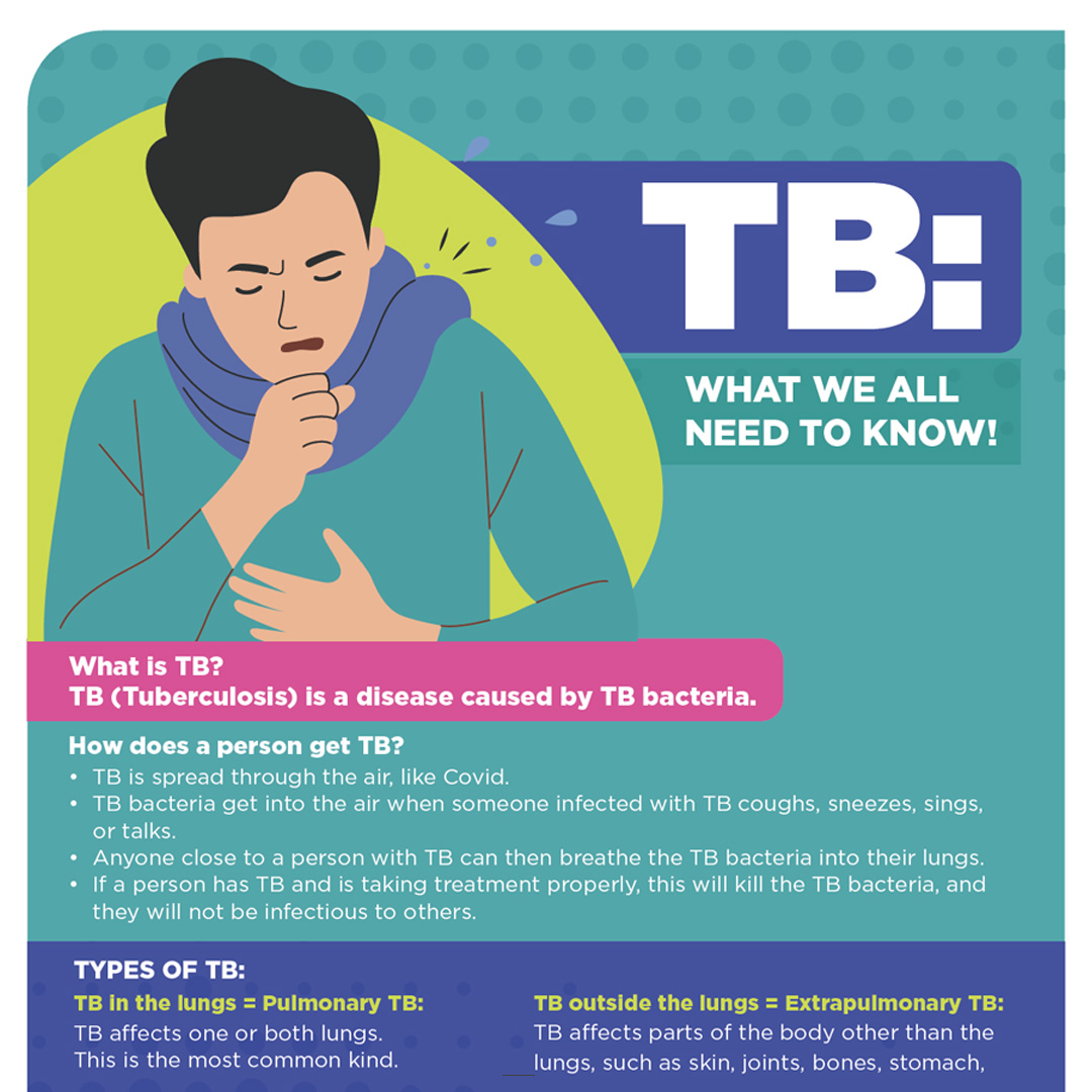 World Malaria Day Key Facts Infographic