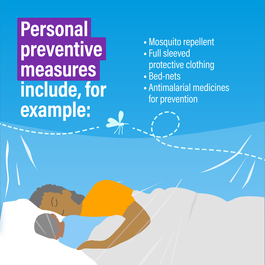 World Malaria Day Key Facts Infographic