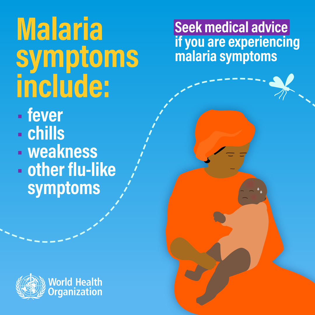 World Malaria Day Key Facts Infographic